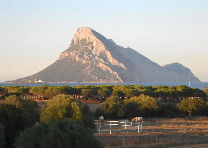 La Taerra Porto San Paolo (Sardinia)
